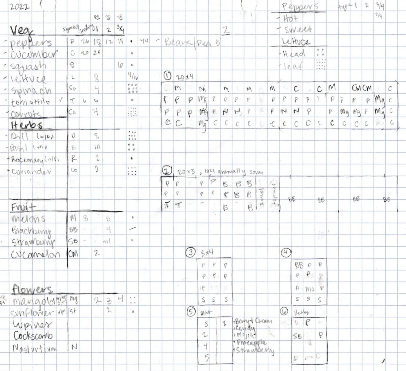 Haley’s hand-drawn 2022 garden plan on graph paper: a list of vegetables, herbs, fruit, and flowers with their symbols and counts, then square-foot layouts of beds 1 to 6. Bed 1 (20 by 4) holds melons, peppers, marigolds, nasturtiums, cucamelons, and cucumbers. Bed 2 (20 by 3) holds peppers, beans, and tomatillos, then lupines and blackberries.