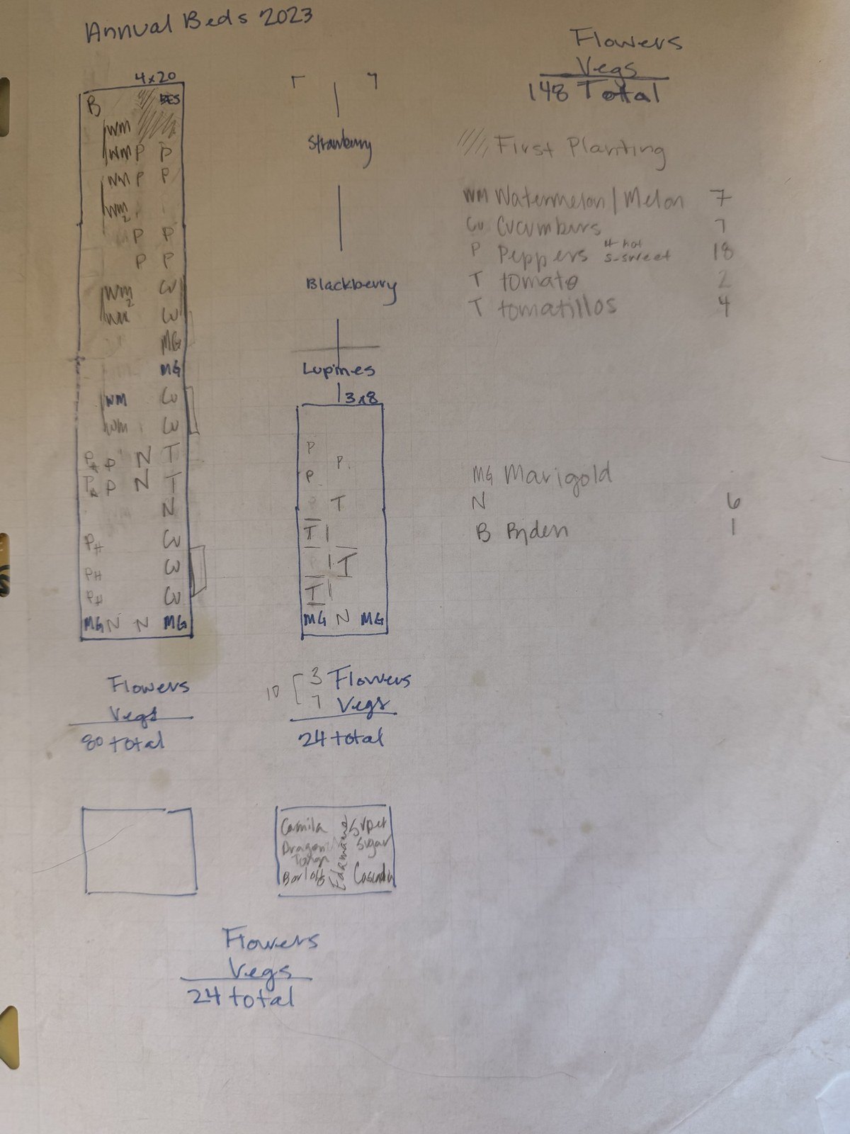 Haley’s hand-drawn “Annual Beds 2023” plan: a 4 by 20 bed with watermelons and melons, peppers, hot peppers, cucumbers, tomatoes, marigolds, and nasturtiums; a strawberry, blackberry, and lupine row; a 3 by 8 bed with peppers, tomatoes, tomatillos, marigolds, and a nasturtium; and a box of beans and peas.