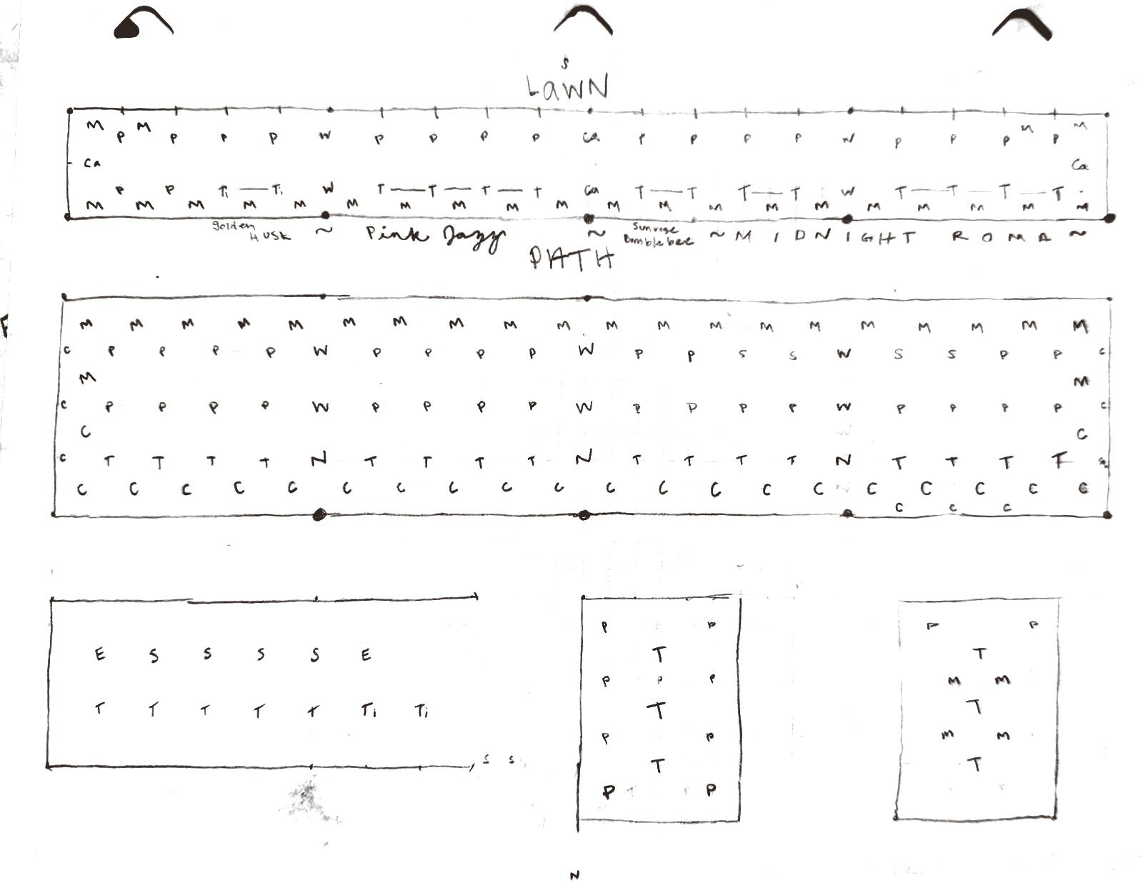Haley’s 2026 plan for the annual beds, drawn in pencil on graph paper, with a letter for each plant and tomato varieties written along the bed edge
