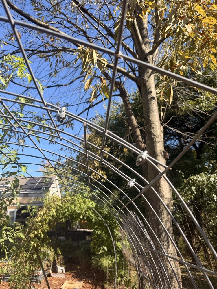 Field photo of the half-arch joint