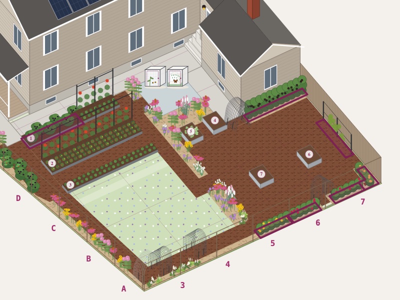 Berries and fruit on the garden map