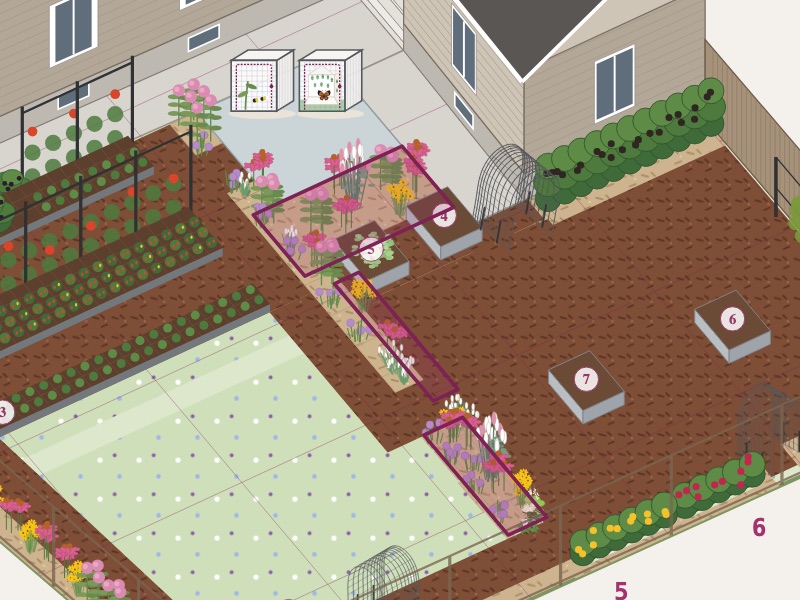 Flowers along the paths on the garden map