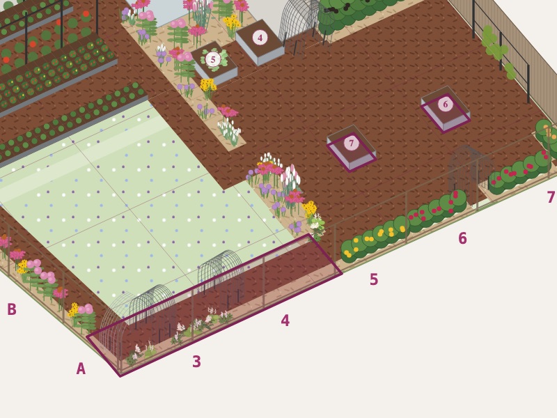 Mushrooms on the garden map