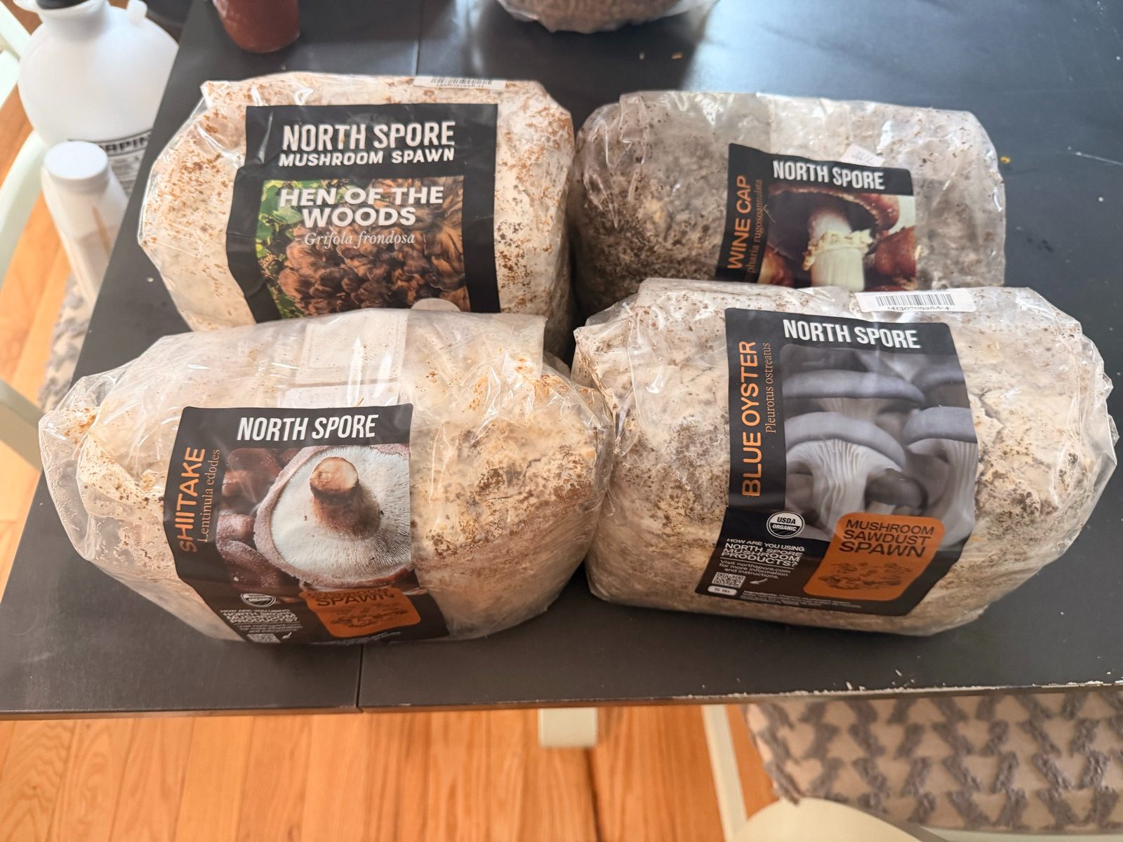 Four bags of sawdust spawn
