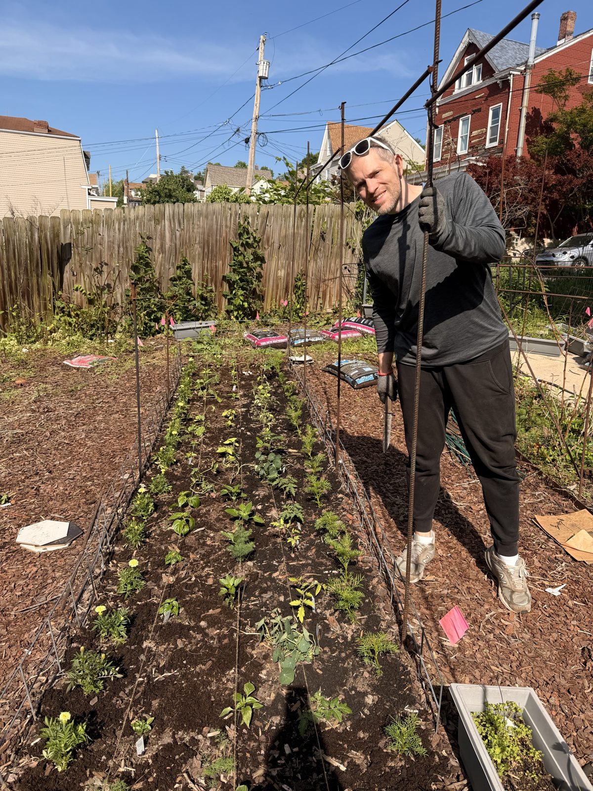 Michael standing beside a long freshly planted bed lined with rebar posts